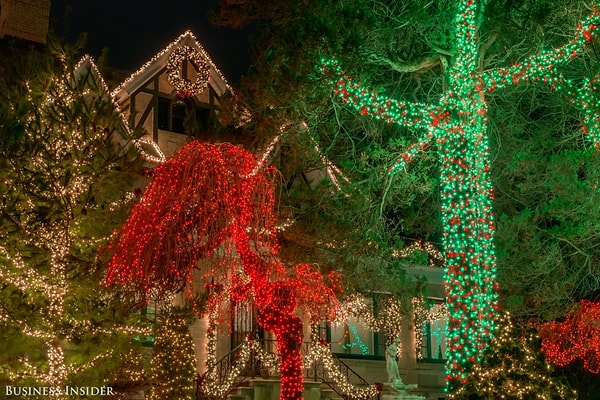 17. Деревья этого великолепного дома освещены гирляндами от корней до макушки.