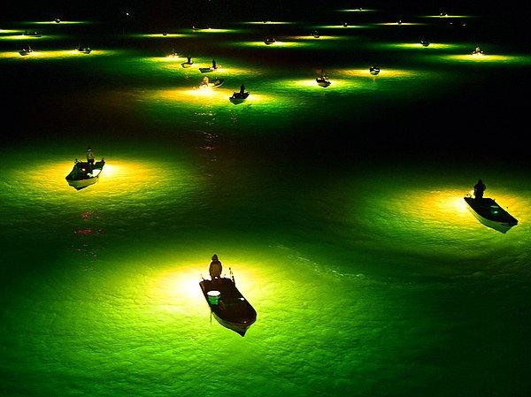 3. Gece Balıkçıları, Japonya