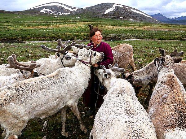 25. Reindeer Herder, Moğolistan