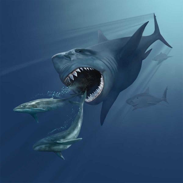 9. Megalodon Köpek Balığı