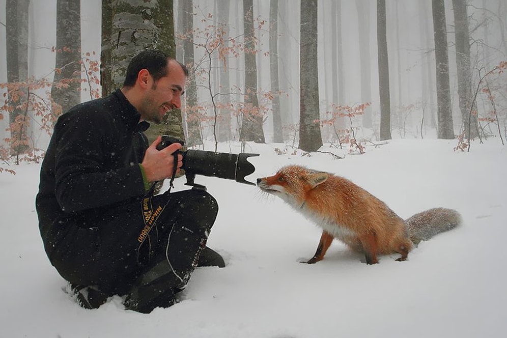 Doğa Fotoğrafçılığının Perde Arkasından Heyecan Verici 32 Fotoğraf