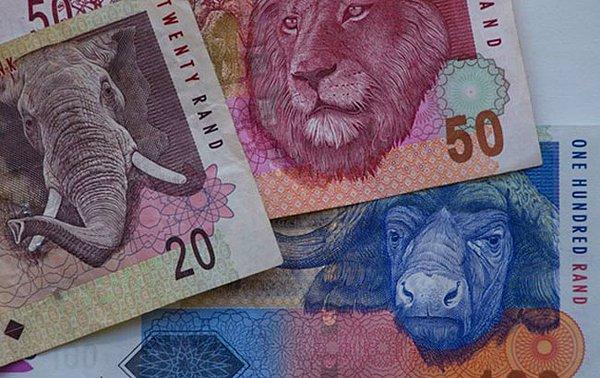 2- Güney Afrika Randı değer kaybı yüzde 32,4