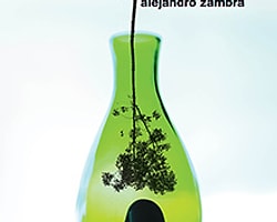 6. Alejandro Zambra - Ağaçların Özel Hayatı