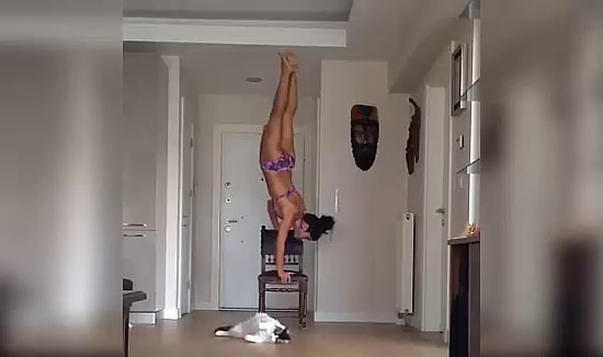 Kedi Sevimliliklerinde Bugün: Sahibiyle Birlikte Spor Yapan Kedi