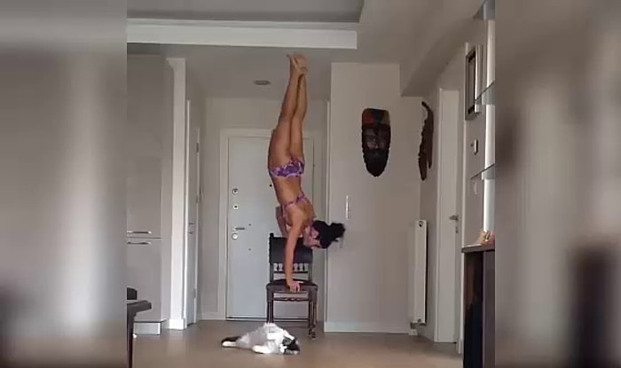 Kedi Sevimliliklerinde Bugün: Sahibiyle Birlikte Spor Yapan Kedi