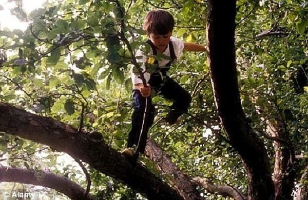20. Erik ağacına dalarken, arkadaşlarından birinin "Ağaca dalan var!" diye bağırması.