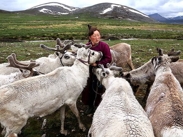 25. Монголия