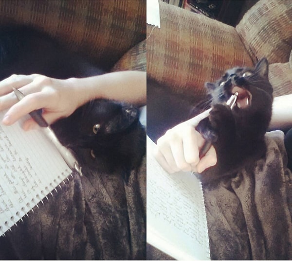 2. Выполнение домашнего задания.