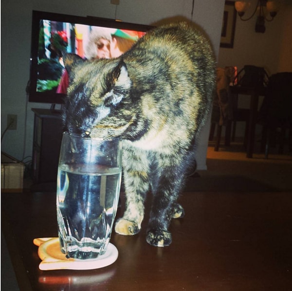 4. Если ты вдруг оставил стакан с водой на столе...