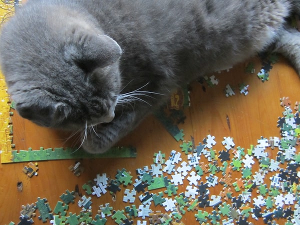 12. Собрать паззл.