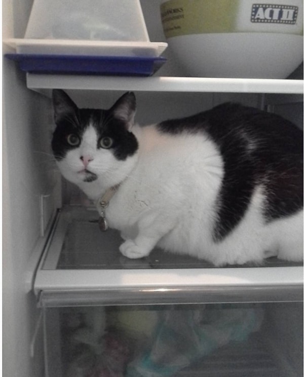 15. Когда открываешь дверку холодильника.