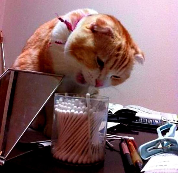 22. Необъяснимая любовь к ватным палочкам.