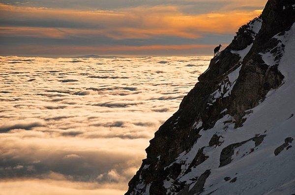 33. Bulutların üzerinde bir yalnız keçi