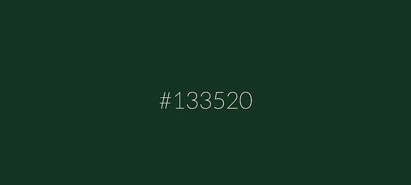 9. Saatle birlikte sayıların o anda denk geldiği 235960 farklı renk tonunu görebileceğiniz HexClock