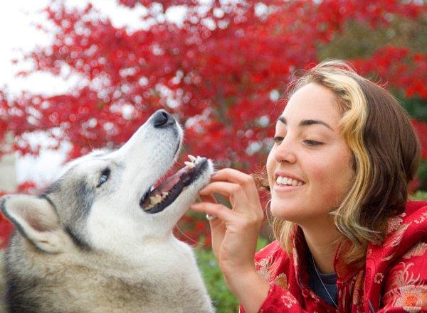 20. Sadık dostumuz köpeklerle olan ilişkimiz sandığımızdan daha derin olabilir.