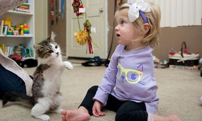 10 Aylıkken Ampute Olan Sevimli Kız ile 3 Bacaklı Kedinin Sımsıcak Dostluğu