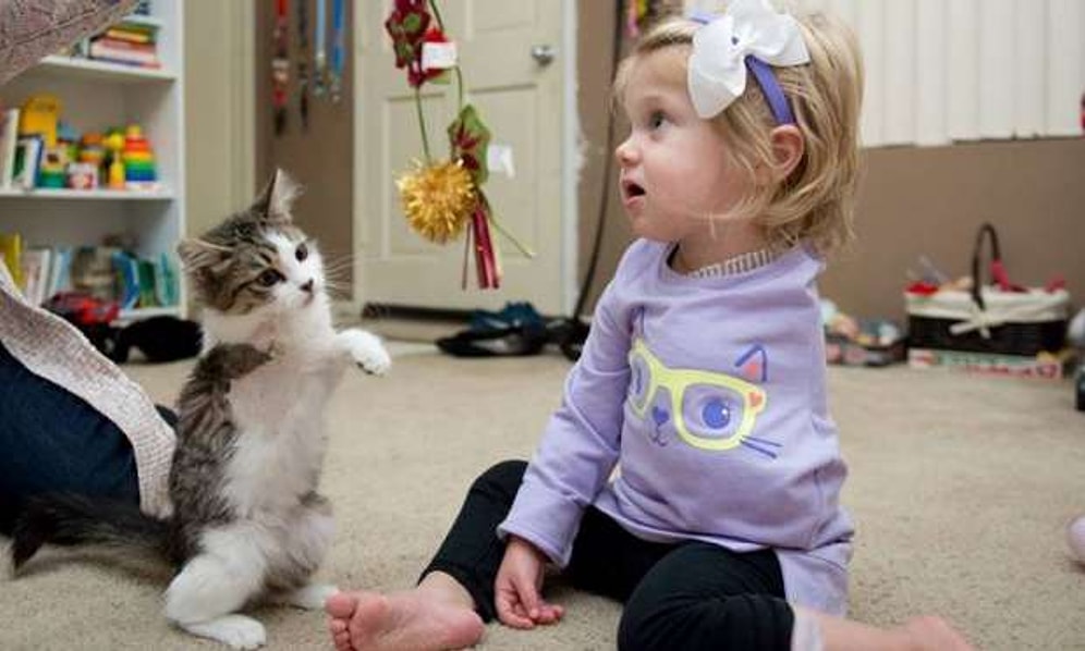 10 Aylıkken Ampute Olan Sevimli Kız ile 3 Bacaklı Kedinin Sımsıcak Dostluğu
