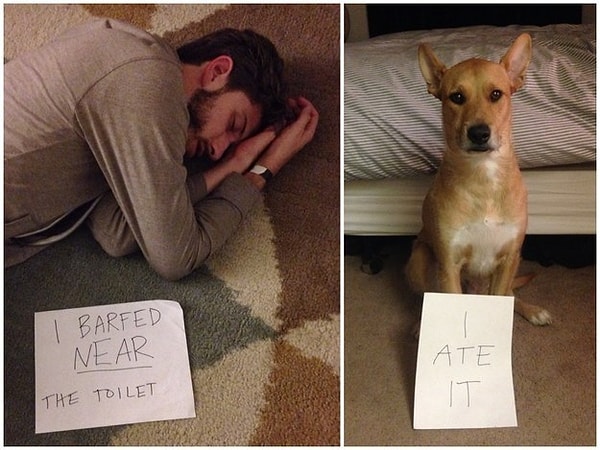 4. И может накормить собаку неординарным способом.