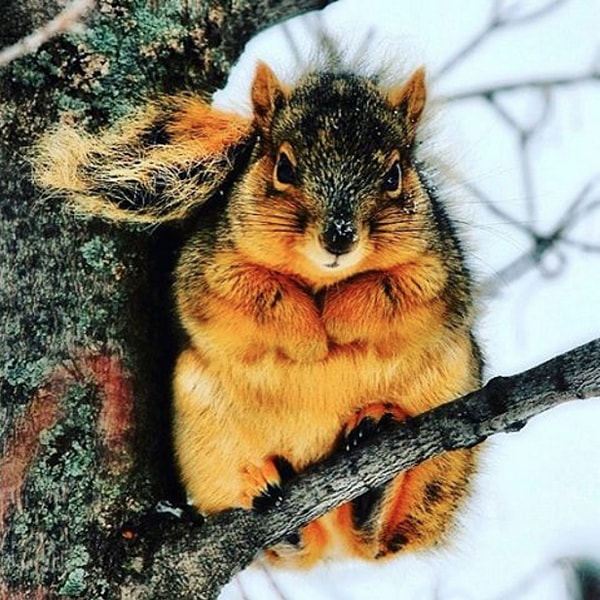 Орехов, семян и грибов в этом году было в изобилии.