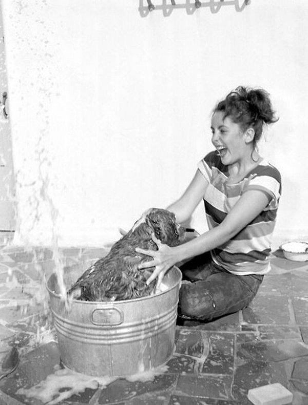 9. Elizabeth Taylor bir köpeği yıkarken.