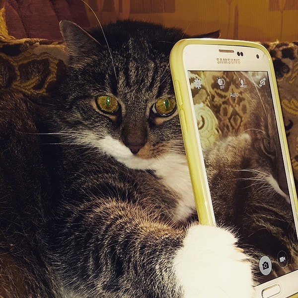 8. Страсть к селфи.