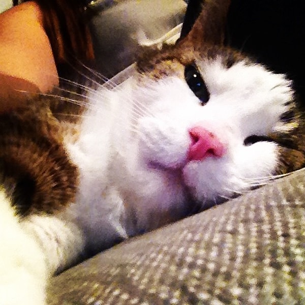 9. Селфи с хэштегом #воттак#проснулась#.