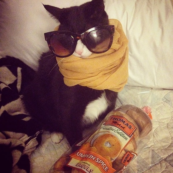 12. Я выгляжу невероятно круто.