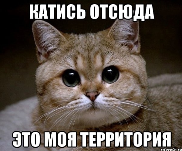 4. Нет, серьезно, вокруг не так много высоких парней, поэтому… когда девчонка с ростом 150 см пытается заигрывать с парнем, рост которого 195…