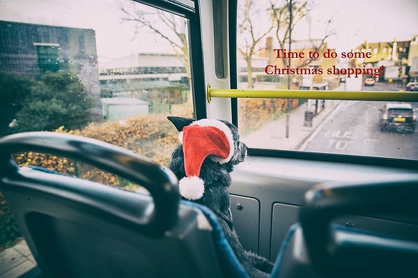 За рождественскими покупками.