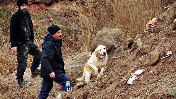 Son görüldükleri yerde arama çalışmaları sürüyor