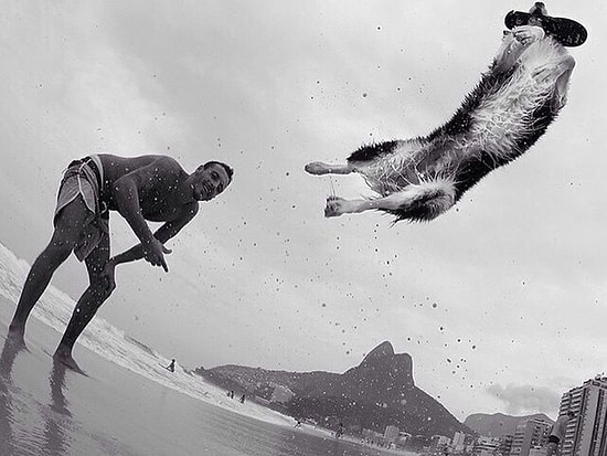 Sizden Daha İyi Topu Yere Düşürmeme Oyunu Oynayan Köpek