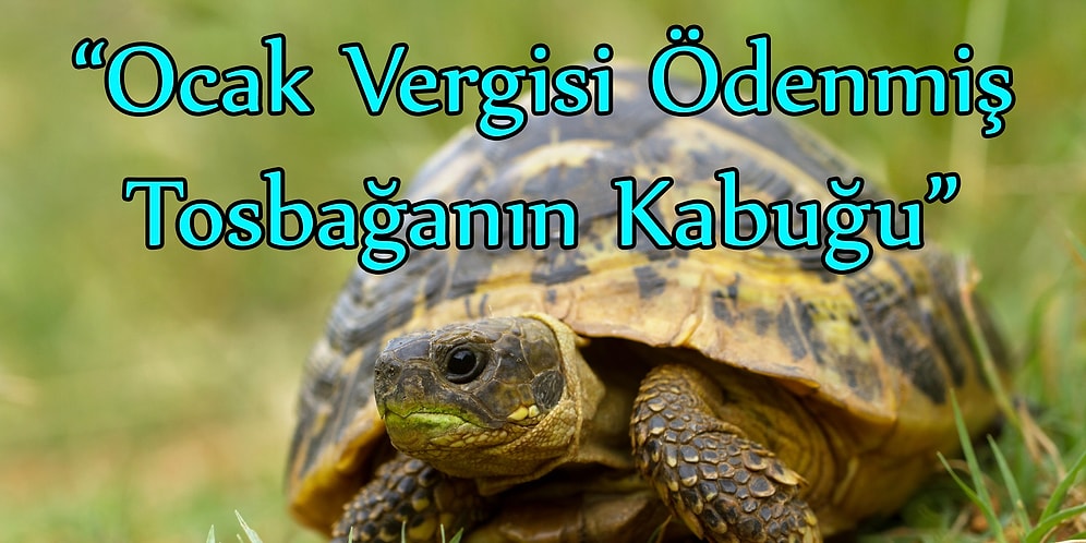 Eksik Kalmayın Diye: Müzik Grubunuza Hiç Düşünmeden Koyabileceğiniz 22 Aşırı Saçma İsim