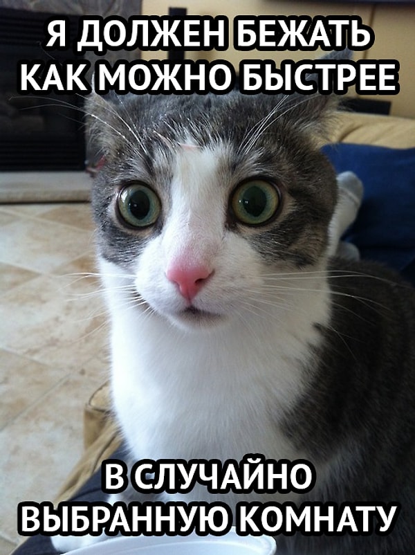 4. Зачем, зачем он это делает?