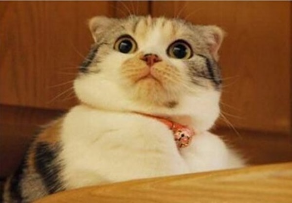 9. Нельзя просто так взять и чихнуть.