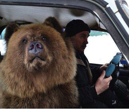 15 смешных фотографий о нашей удивительной России