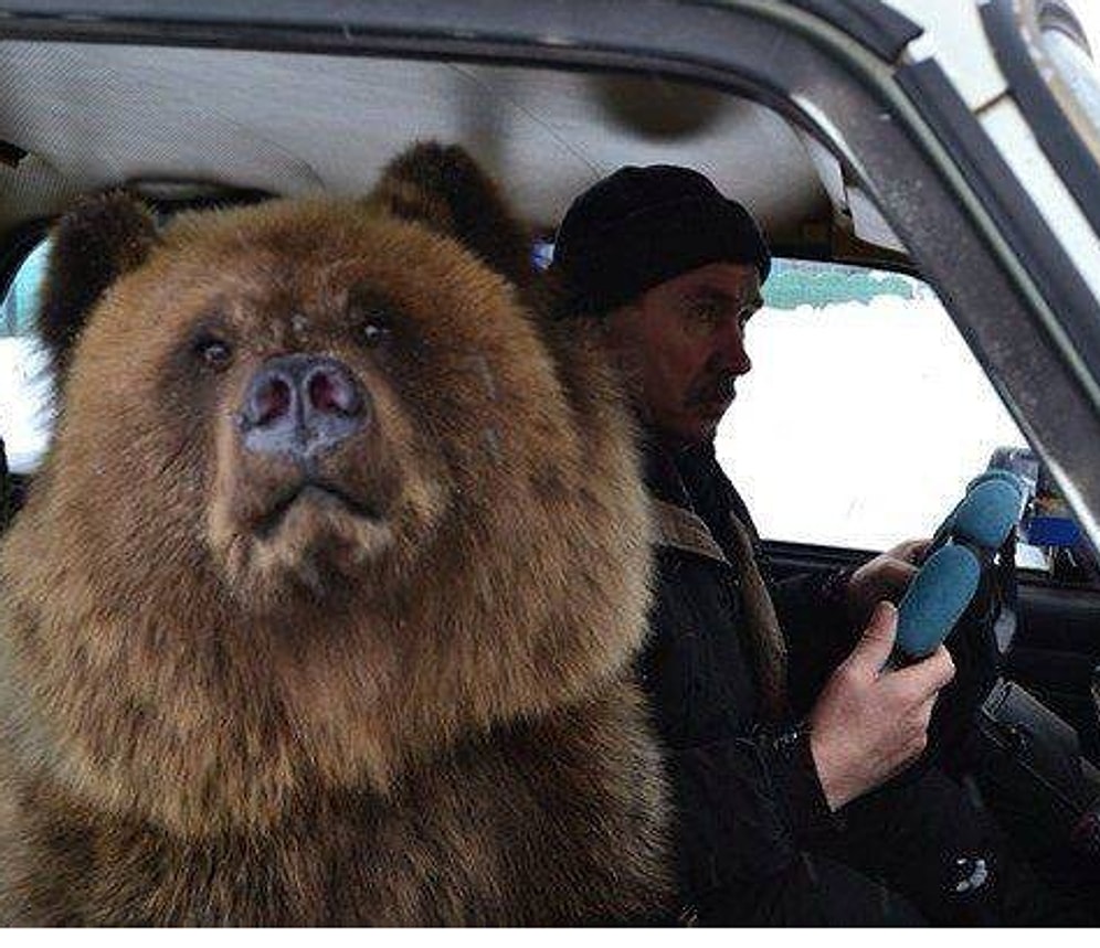 15 смешных фотографий о нашей удивительной России
