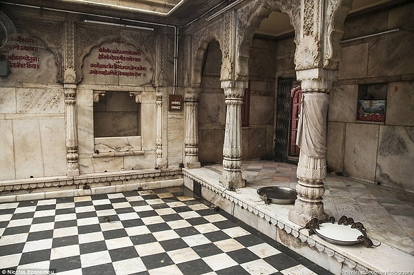 На улице установлены специальные решетки и сетки, чтобы защитить грызунов от птиц и коров, которые здесь повсюду. На территории храма расставлены мисочки с молоком и другими крысиными лакомствами.