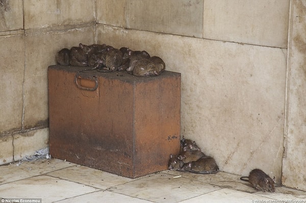 Немецкий фотограф Николас Эконому побывал в древнем храме и сделал множество фотографий, которые затем выложил в интернет.