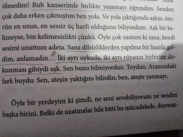 15. Sahaflardan alınan kitabı, üzerinde alınmış notlar, altı çizilmiş yerler sayesinde eski sahibinin gözünden okumak.