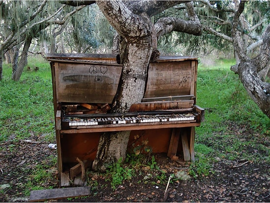 19 фотографий о силе природы против цивилизации