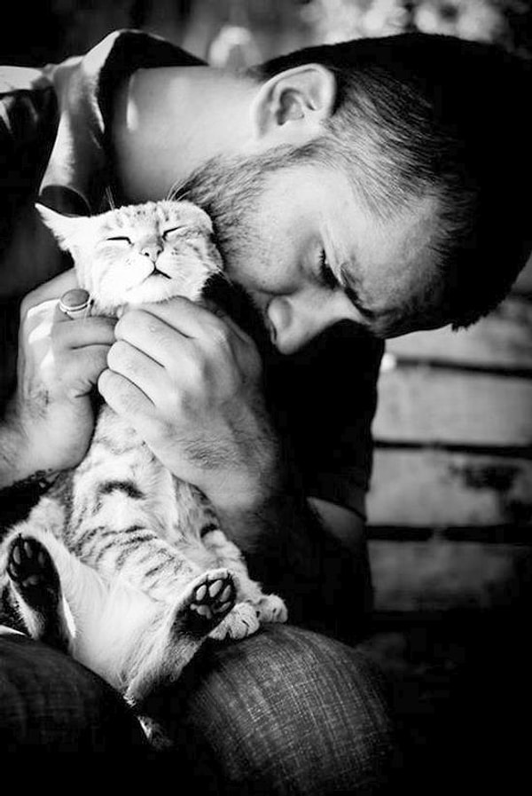 20. Том отлично ладит с кошками...
