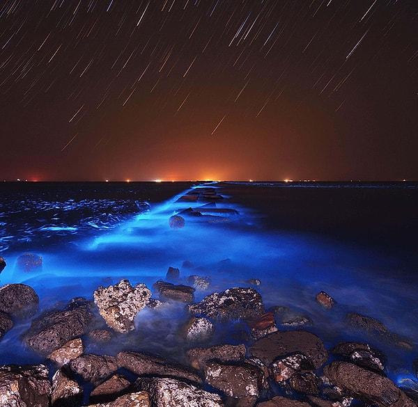 1. Dongying, Çin'de bulunan sahile vuran bitkisel planktonlar, ışıldayarak bu muhteşem görüntüyü ortaya çıkarıyor.