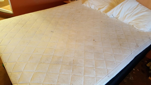 "Больше никогда не буду делать людям добро"