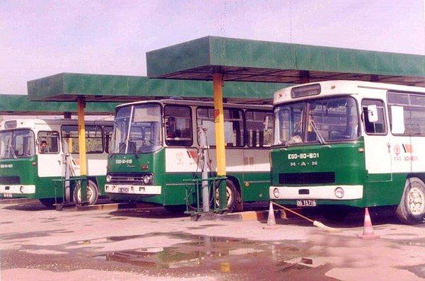 15. Yeşil otobüsler