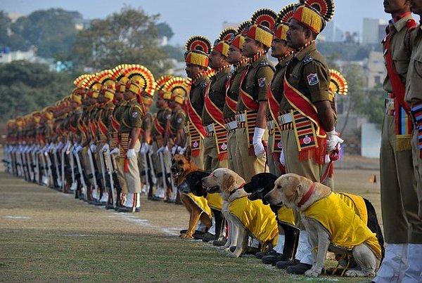 Bu yıl, Hint Ordusunda bulunan 1200 köpek arasından en iyi yürüyüş yapan 36 tanesi tören marşı eşliğinde yürüyüşe katılacak.