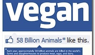 Vegan Olmayı Ciddi Ciddi Düşündüren 10 Sebep