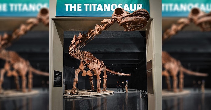 Yaşamış En Büyük Kara Hayvanı 'Titanosaur'un İskeleti ile Tanışın!