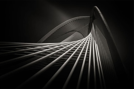 10 фотографий-победителей на конкурсе Hasselblad Masters Awards 2016