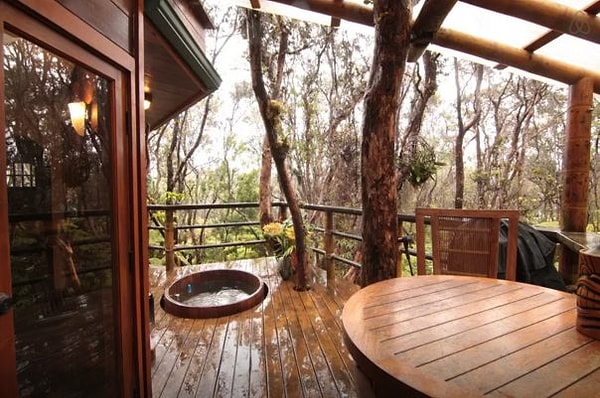 17. Дом на дереве (Гаваи, США)