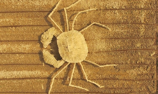 Жители Северо Китайской равнины стали переезжать в другие регионы по причине образования густого смога как следствие сжигания соломы на полях.